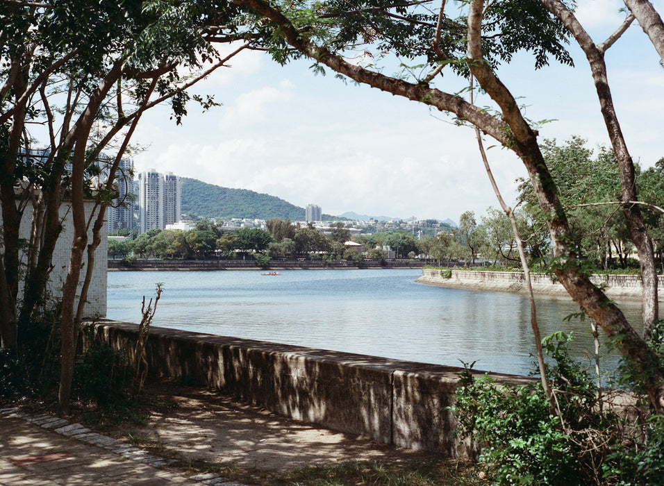 Cinestill 400D (120)