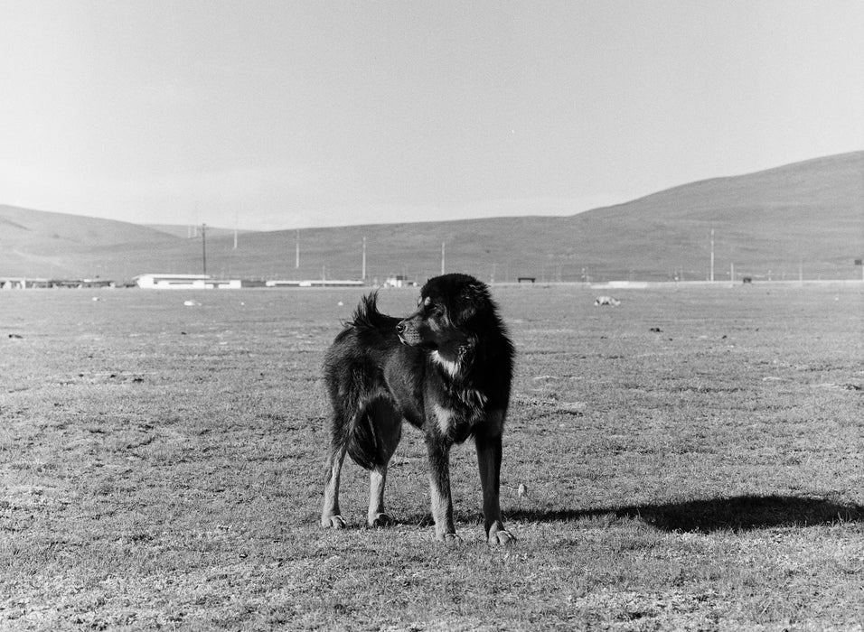 Ilford HP5+ (120)