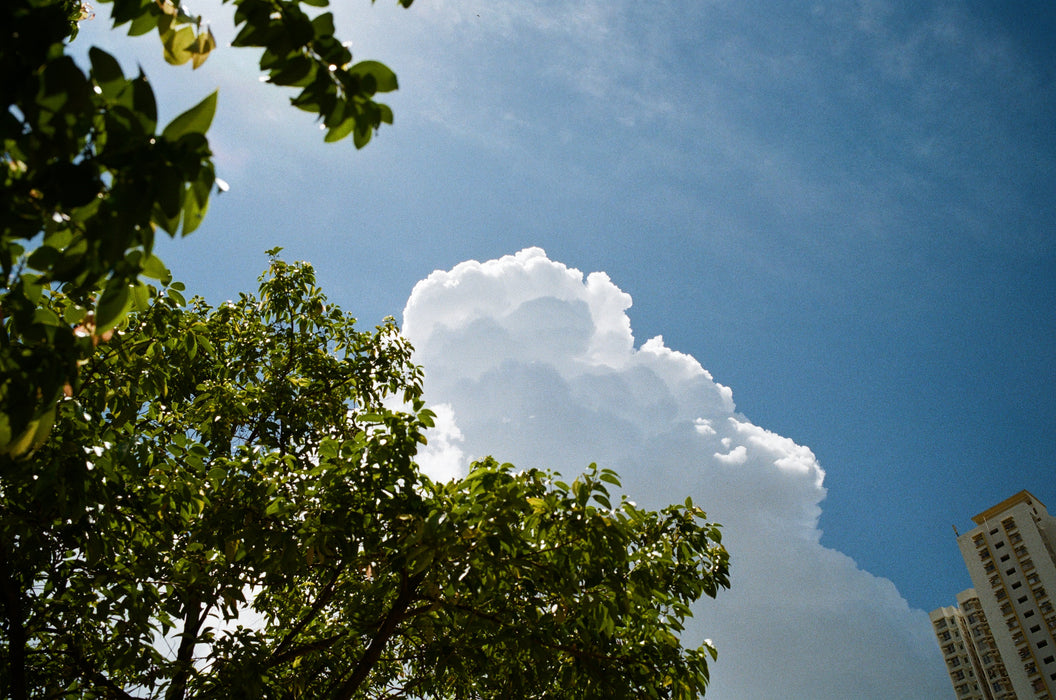 Kodak Pro Image 100 (135-36)