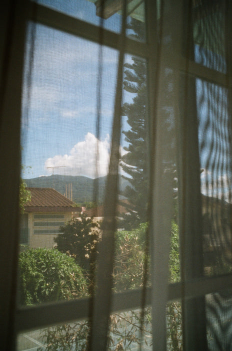 Kodak Pro Image 100 (135-36)